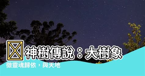 大樹象徵|神樹